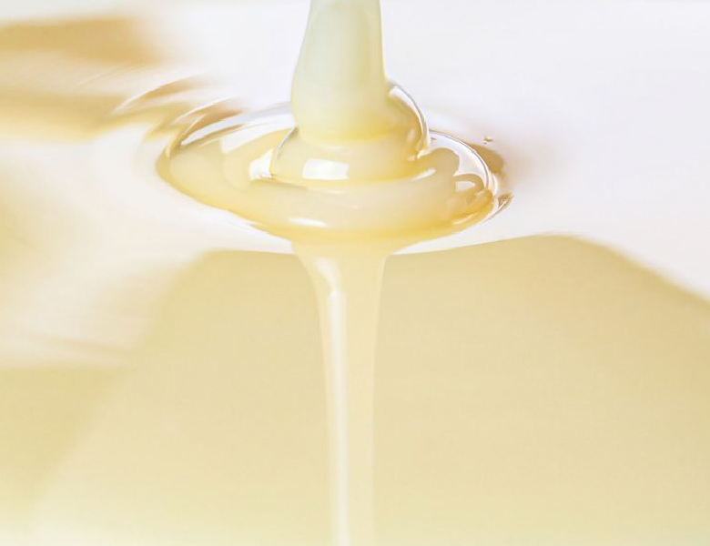 Leche Evaporada